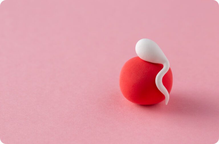 Las Mejores Vitaminas para Quedar Embarazada