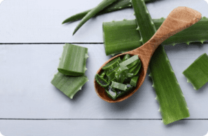Propiedades y Beneficios del Aloe Vera: Una Guía Completa