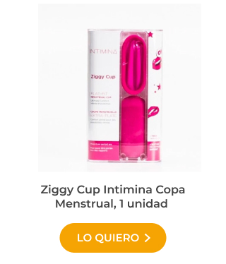 Ziggy Cup Intimina Copa Menstrual, 1 unidad
